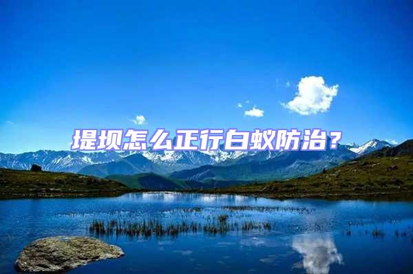 堤壩怎么正行白蟻防治？