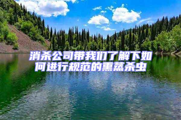 消殺公司帶我們了解下如何進行規范的熏蒸殺蟲