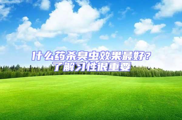 什么藥殺臭蟲效果最好？了解習性很重要