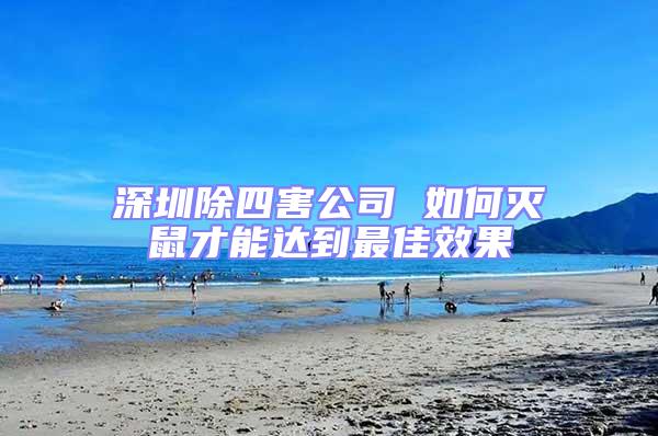 深圳除四害公司 如何滅鼠才能達到最佳效果