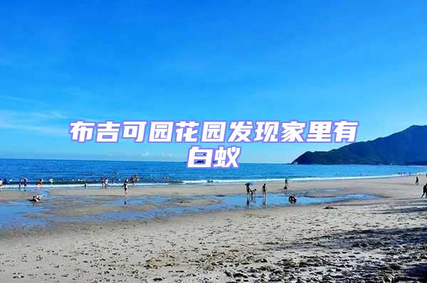 布吉可園花園發現家里有白蟻