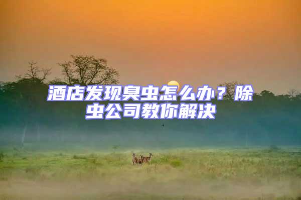 酒店發現臭蟲怎么辦？除蟲公司教你解決