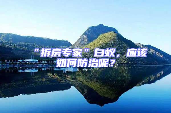 “拆房專家”白蟻，應該如何防治呢？