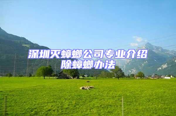 深圳滅蟑螂公司專業(yè)介紹除蟑螂辦法