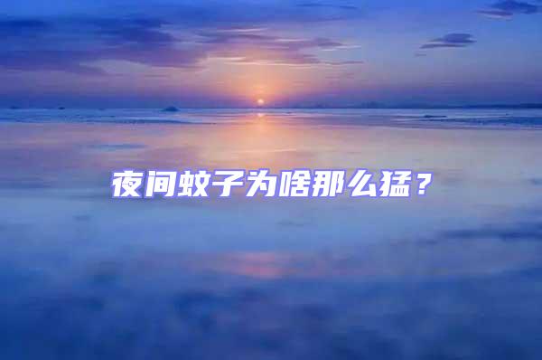 夜間蚊子為啥那么猛？