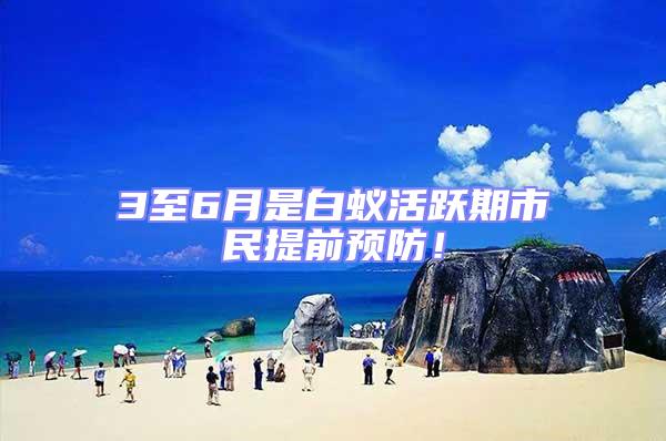 3至6月是白蟻活躍期市民提前預防！