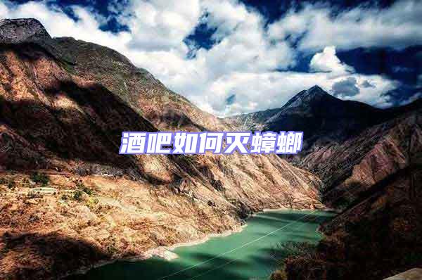 酒吧如何滅蟑螂