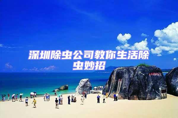 深圳除蟲(chóng)公司教你生活除蟲(chóng)妙招