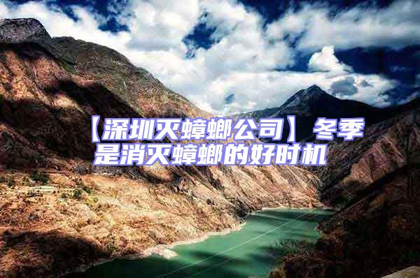 【深圳滅蟑螂公司】冬季是消滅蟑螂的好時機