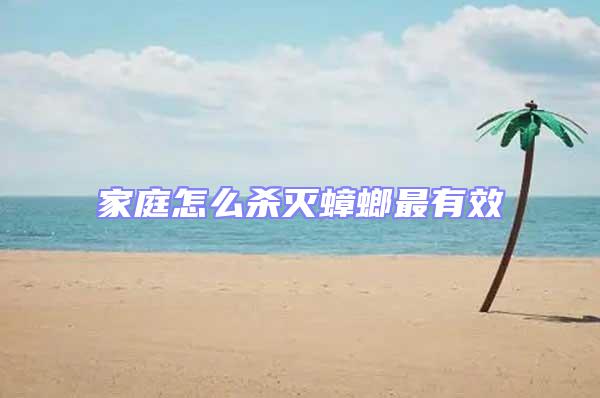 家庭怎么殺滅蟑螂最有效