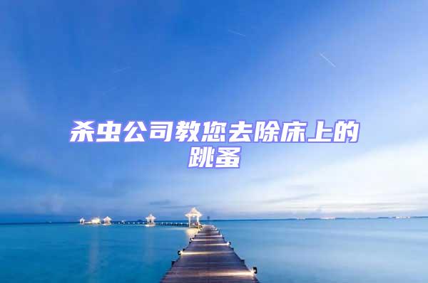 殺蟲公司教您去除床上的跳蚤