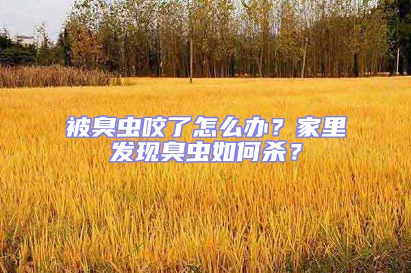 被臭蟲咬了怎么辦？家里發(fā)現(xiàn)臭蟲如何殺？