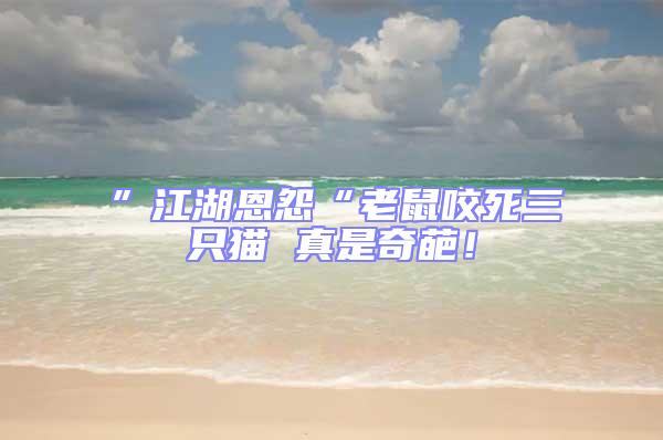 ”江湖恩怨“老鼠咬死三只貓 真是奇葩！