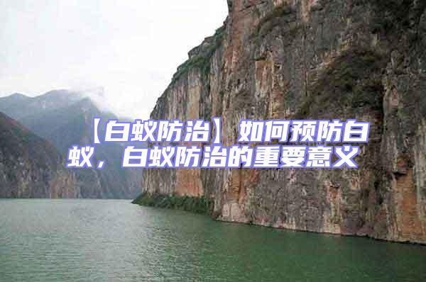 【白蟻防治】如何預(yù)防白蟻，白蟻防治的重要意義