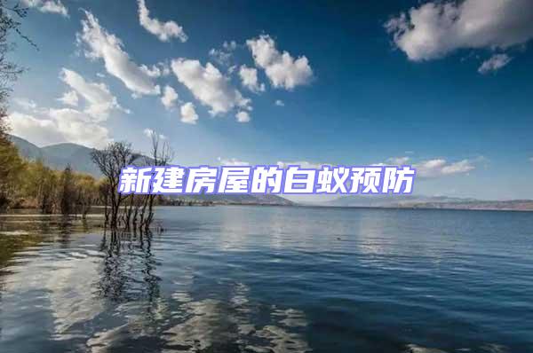 新建房屋的白蟻預防