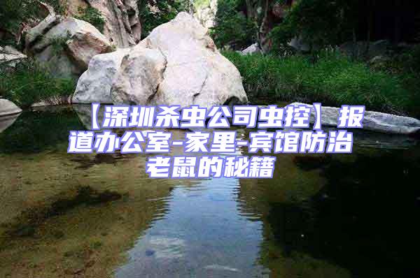 【深圳殺蟲公司蟲控】報道辦公室-家里-賓館防治老鼠的秘籍