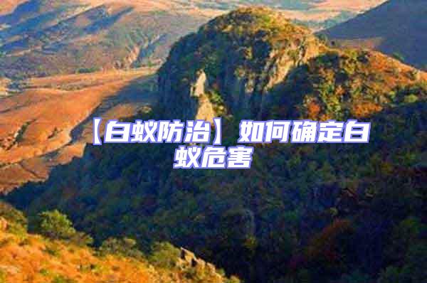 【白蟻防治】如何確定白蟻危害