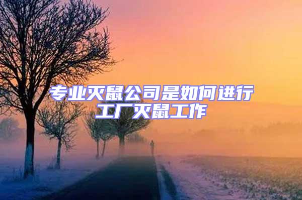 專業滅鼠公司是如何進行工廠滅鼠工作