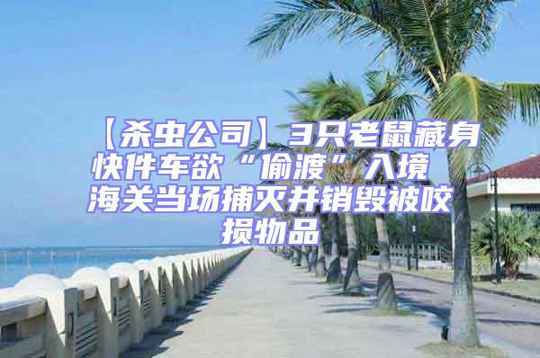 【殺蟲公司】3只老鼠藏身快件車欲“偷渡”入境 海關當場捕滅并銷毀被咬損物品