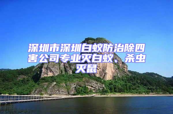 深圳市深圳白蟻防治除四害公司專業滅白蟻、殺蟲滅鼠