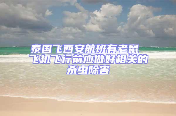 泰國飛西安航班有老鼠 飛機飛行前應做好相關的殺蟲除害