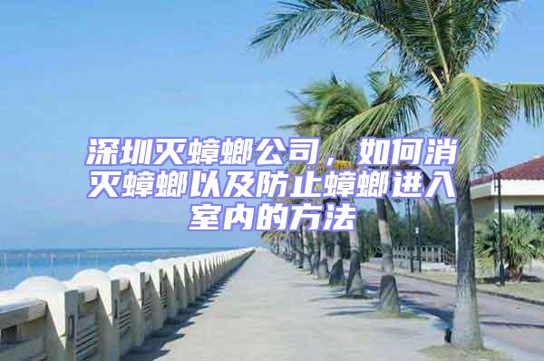 深圳滅蟑螂公司，如何消滅蟑螂以及防止蟑螂進入室內的方法