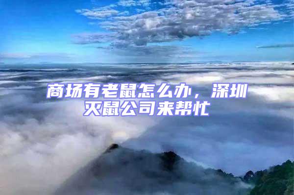 商場有老鼠怎么辦，深圳滅鼠公司來幫忙