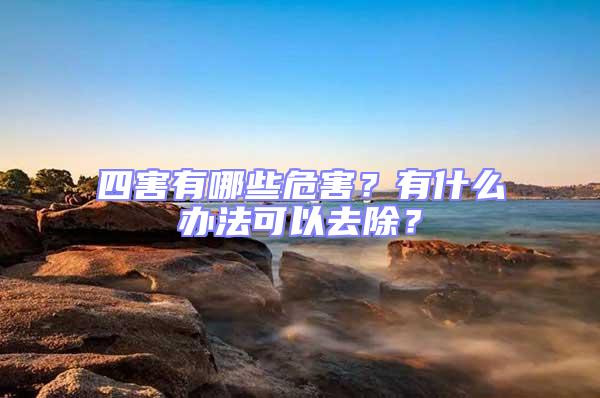 四害有哪些危害？有什么辦法可以去除？