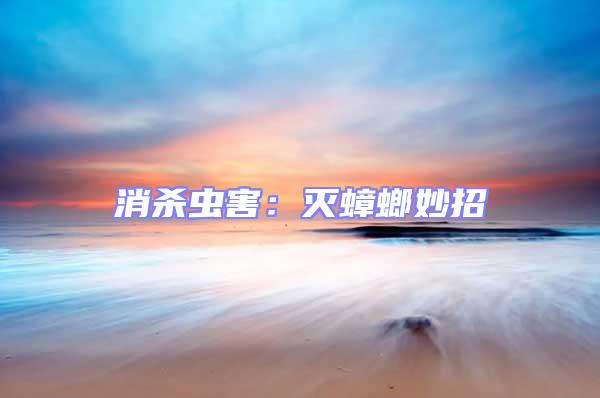 消殺蟲害：滅蟑螂妙招