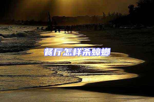 餐廳怎樣殺蟑螂