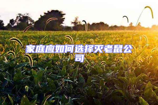 家庭應如何選擇滅老鼠公司