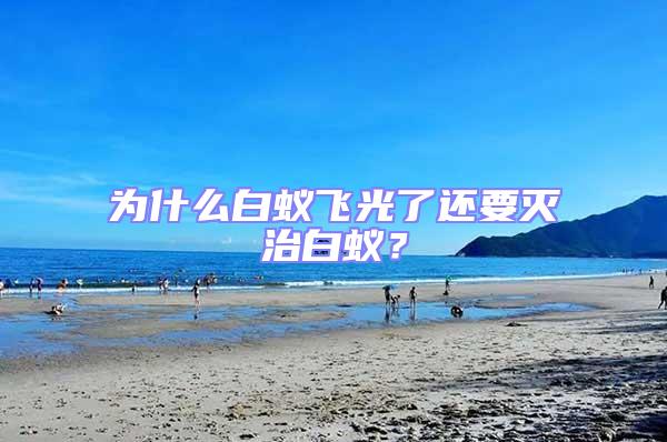 為什么白蟻飛光了還要滅治白蟻？