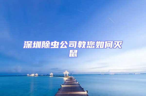 深圳除蟲公司教您如何滅鼠