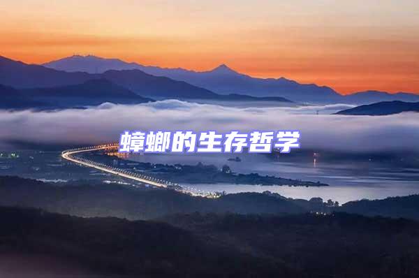 蟑螂的生存哲學
