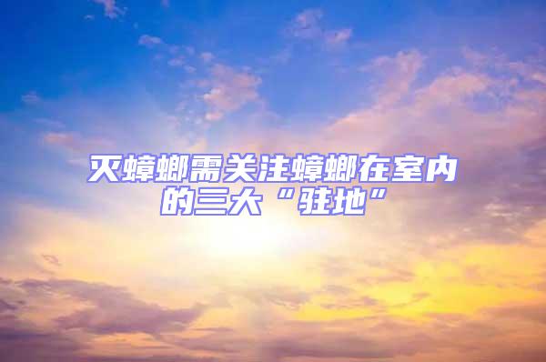 滅蟑螂需關注蟑螂在室內的三大“駐地”