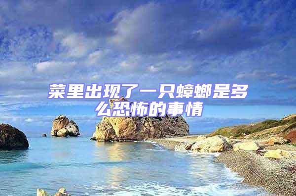 菜里出現了一只蟑螂是多么恐怖的事情