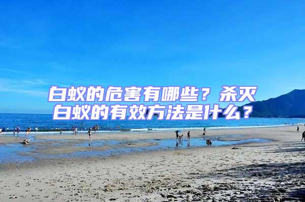 白蟻的危害有哪些？殺滅白蟻的有效方法是什么？