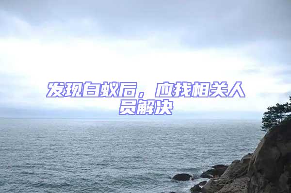發現白蟻后，應找相關人員解決