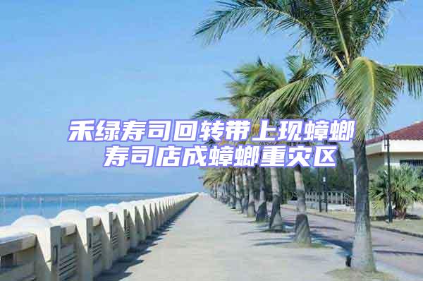 禾綠壽司回轉(zhuǎn)帶上現(xiàn)蟑螂 壽司店成蟑螂重災(zāi)區(qū)