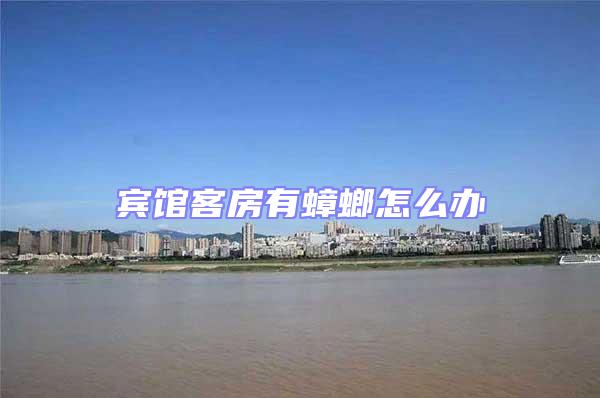 賓館客房有蟑螂怎么辦