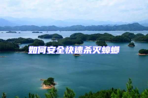 如何安全快速殺滅蟑螂