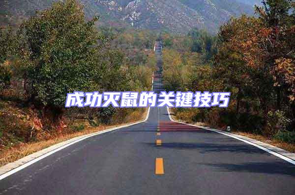 成功滅鼠的關鍵技巧