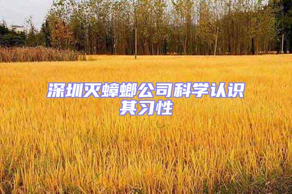 深圳滅蟑螂公司科學認識其習性