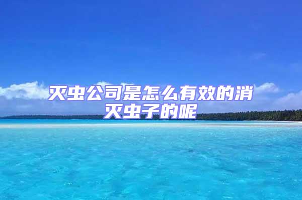 滅蟲公司是怎么有效的消滅蟲子的呢
