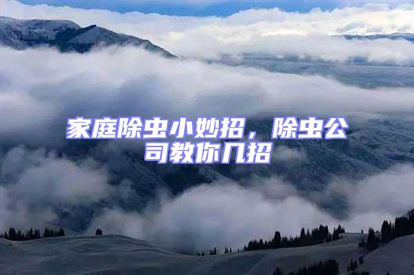 家庭除蟲小妙招，除蟲公司教你幾招