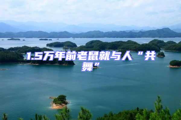 1.5萬年前老鼠就與人“共舞”
