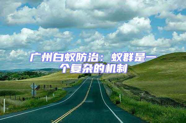 廣州白蟻防治：蟻群是一個復(fù)雜的機制