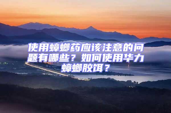 使用蟑螂藥應該注意的問題有哪些？如何使用華力蟑螂膠餌？