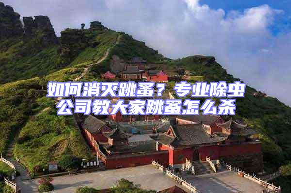 如何消滅跳蚤？專業除蟲公司教大家跳蚤怎么殺