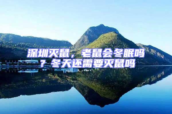 深圳滅鼠，老鼠會冬眠嗎？冬天還需要滅鼠嗎